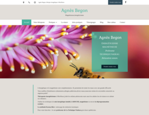 Agnès  Begon Mirefleurs, Techniques énergétiques