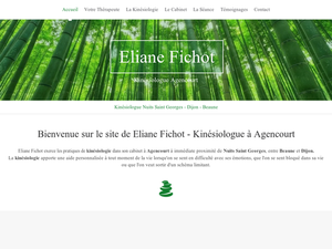 Eliane Fichot Agencourt, Kinésiologie, Allergologie