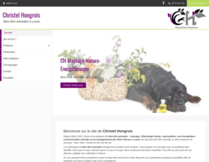 CH Massage-Naturo-Energéticienne Looze, Naturopathie