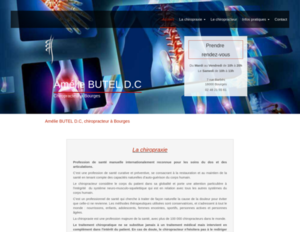 Amélie BUTEL D.C chiropracteur Bourges, Chiropraxie, Chiropraxie