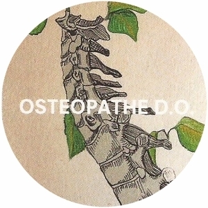 Clemence Balley ostéopathe Sarras, Ostéopathie