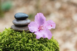 Sandra Sibué Grésy-sur-Aix, Sophrologie, Hypnose, Yoga, Techniques énergétiques