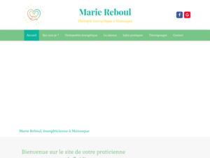 Marie Reboul Saint-Maime, Techniques énergétiques