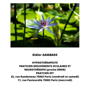 Didier Gambade Paris 3, Hypnose, Techniques énergétiques, Magnétisme, Psychopratique