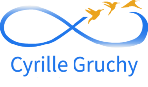 Cyrille Gruchy Rennes, Techniques énergétiques