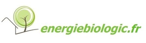 LE COADOU Fouesnant, Techniques énergétiques, Reiki