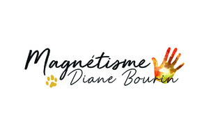 Diane Bourin Saint-Ouen-des-Alleux, Magnétisme, Reiki