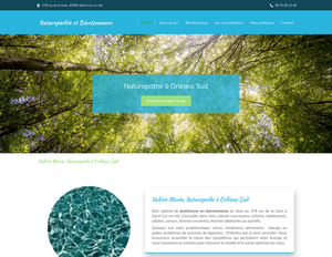 Naturopathie et Biorésonance Lamotte-Beuvron, Naturopathie