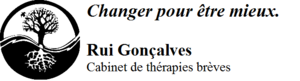Rui Gonçalves Paris 5, Psychothérapie