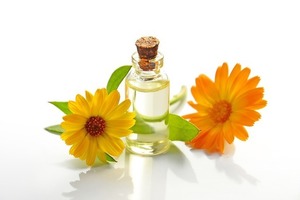 Céline de Putter Angers, Naturopathie