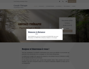 Cabinet de Gestalt-thérapie Meaux, Psychothérapie, Psychothérapie