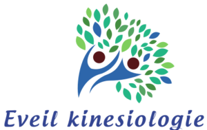 Eveil kinésiologie Vannes, Kinésiologie