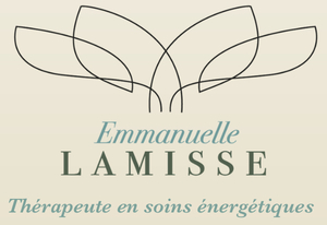 Emmanuelle Lamisse La Roche-sur-Yon, Techniques énergétiques