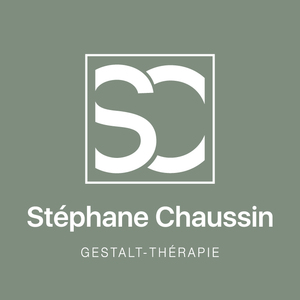 Stéphane Chaussin Vincennes, Psychothérapie