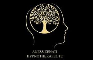 Aness Zenati Marseille, Hypnose, Professionnel de santé