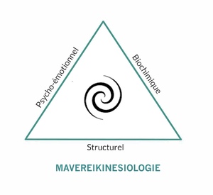 mavereikinesiologie Villeneuve-Saint-Denis, Kinésiologie, Magnétisme
