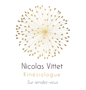 Nicolas Vittet Venelles, Kinésiologie