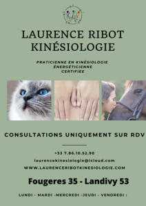 Laurence Ribot Kinésiologie Humaine & Animale Fougères, Kinésiologie, Techniques énergétiques