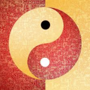 Philippe Marguery Praticien en médecine traditionnelle chinoise Grenoble, Professionnel de santé