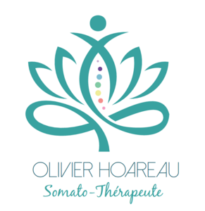 Olivier HOAREAU - Somato Émotionnelle - Gestion des stress et traumas Dangé-Saint-Romain, Professionnel de santé