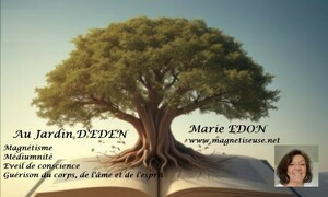 Marie EDON Thérapeute holistique Élancourt, Magnétisme