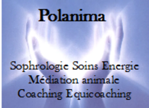 Polanima Gap, Magnétisme, Techniques énergétiques