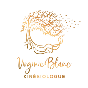 Virginie BLANC Saint-Symphorien-d'Ozon, Kinésiologie, Réflexologie