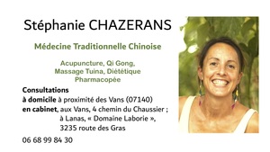 Stéphanie Chazerans Lanas, Acupuncture