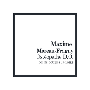 Maxime Moreau-Fragny Ostéopathe Cosne-Cours-sur-Loire, Ostéopathie