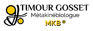 Timour GOSSET Bagnères-de-Bigorre, Kinésiologie