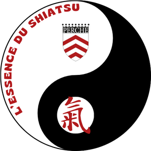 L'essence du Shiatsu Champrond-en-Gâtine, Professionnel de santé