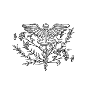 Lebon thérapeute  Villiers-Charlemagne, Thérapeute
