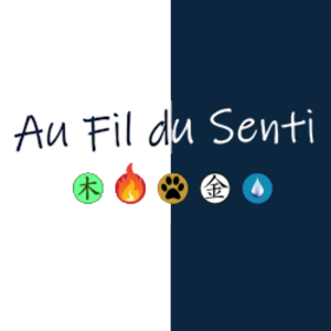 Au fil du Senti Grenoble, Magnétisme, Techniques énergétiques