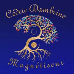 Cédric DAMBRINE Troyes, Magnétisme