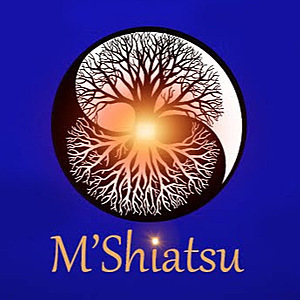 M'Shiatsu Montricoux, Praticien de médecine alternative