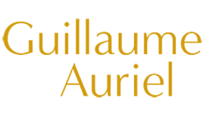 Guillaume Auriel Lagny-sur-Marne, Techniques énergétiques