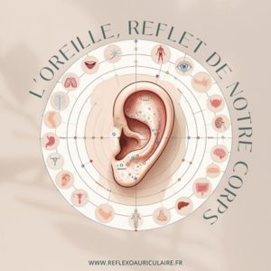 Elodie PERIER Valognes, Réflexologie