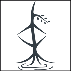 Arnaud Clément Thérapeute Vic-le-Comte, Techniques énergétiques