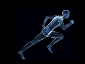 Grégory Perlié Néoules, Ostéopathie