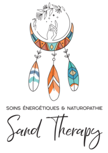 Sandrine Fréminet Troyes, Professionnel de santé