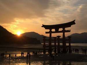 Bertrand Coquin Tarabel, Shiatsu