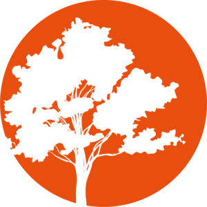 Caroline Wartel Massy, Professionnel de santé