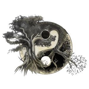 Yassine BENAICHA Teyran, Praticien de médecine alternative