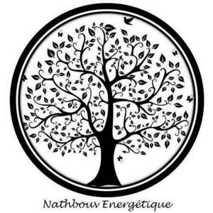 Nathalie BOUVIER Franconville, Magnétisme, Techniques énergétiques, Hypnose