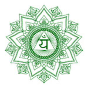 Philippe LEROY - Thérapeute énergéticien Biscarrosse, Techniques énergétiques, Reiki, Magnétisme, Praticien de médecine alternative