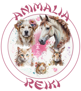 ANIMALIA-REIKI Arles, Reiki