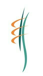 Fanny Précy Orléans, Chiropraxie