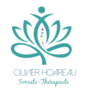 Olivier Hoareau Dangé-Saint-Romain, Praticien de médecine alternative