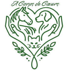 A Corps de Coeurs - Elodie FRICAUD-VICINI La Genête, Professionnel de santé