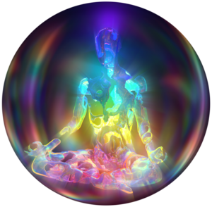 Sandrine Henno  Pibrac, Professionnel de santé